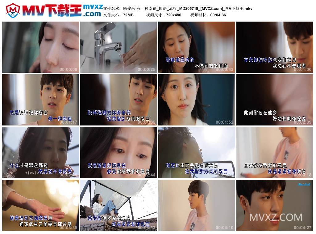 陈俊彤-有一种幸福_国语_流行_MD205718